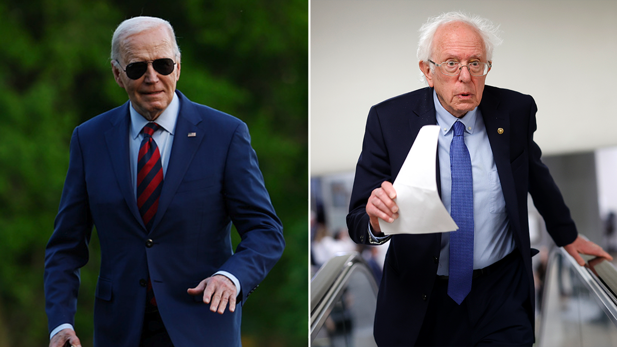 Joe Biden e Bernie Sanders dividem imagem