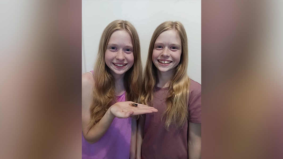 نیلی آنکھوں والی سیکاڈا والی دو لڑکیاں