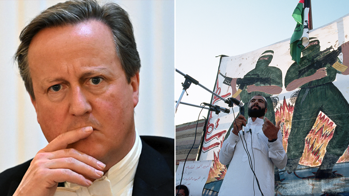 David Cameron protestor in front of image of Hamas terrorists split image