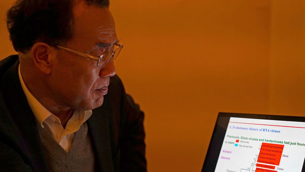 Zhang Yongzhen, the first scientist to publish a sequence of the COVID-19 virus, looks at a presentation on his laptop in a coffeeshop in Shanghai, China