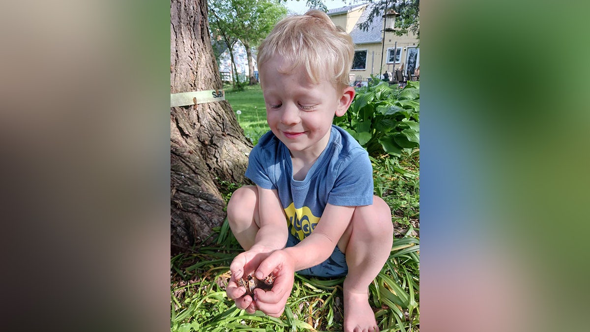 Four year old with cicadas