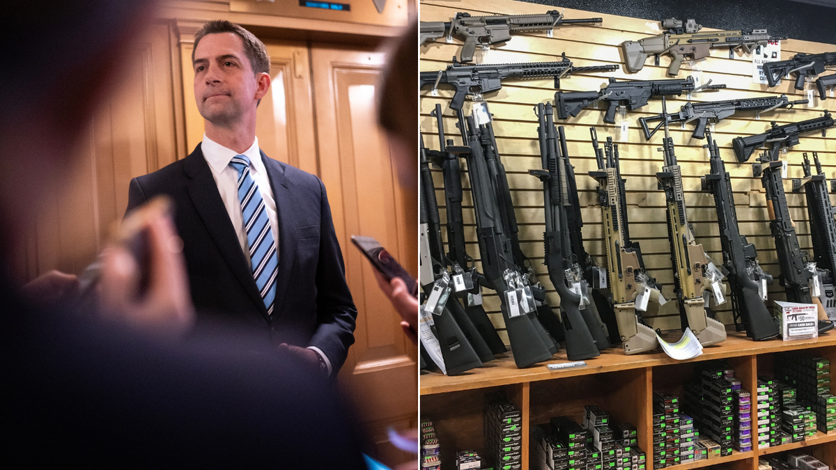 Tom Cotton and gun store split image