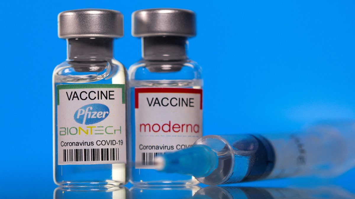 Vials with Pfizer-BioNTech and Moderna coronavirus disease (COVID-19) vaccine labels are seen against a blue background.