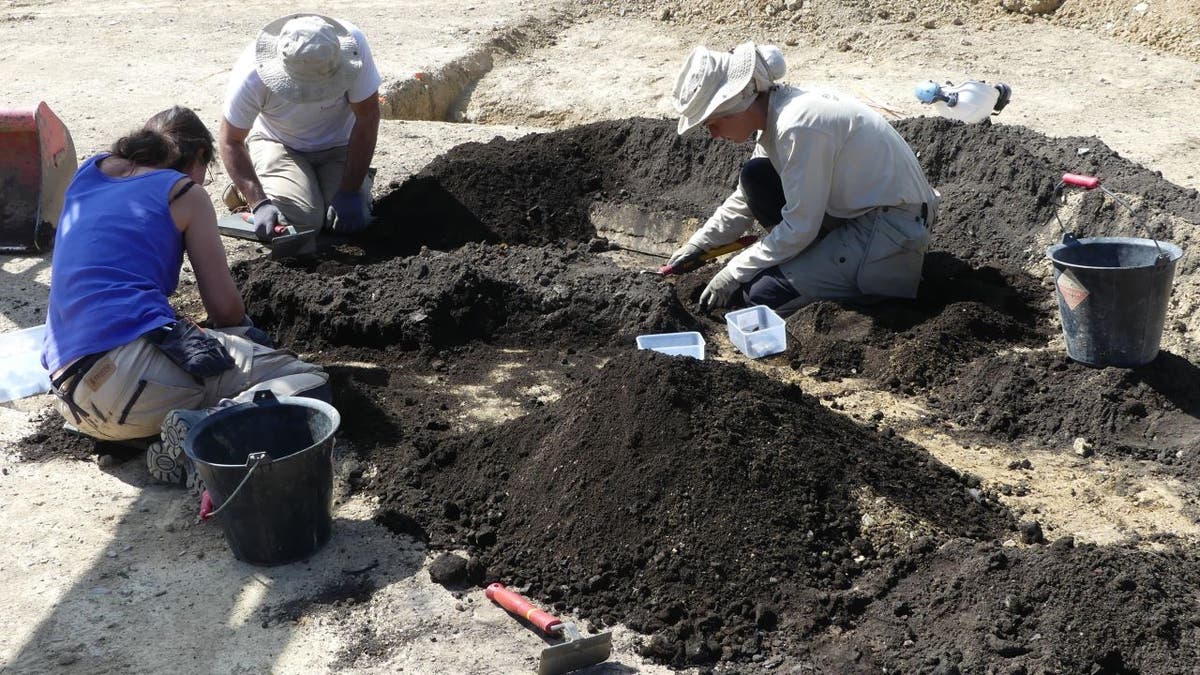 Archaeologists bending down and digging dirt