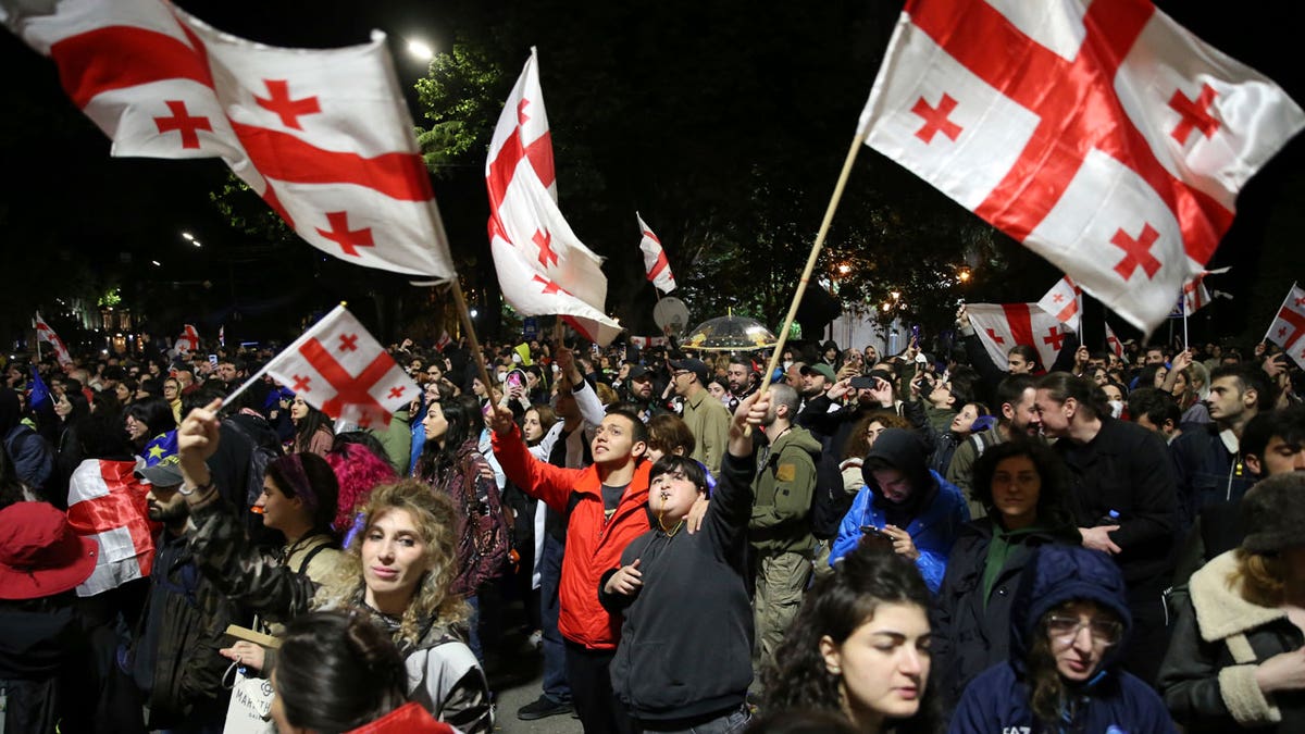 Demonstrators waving Georgian national flags