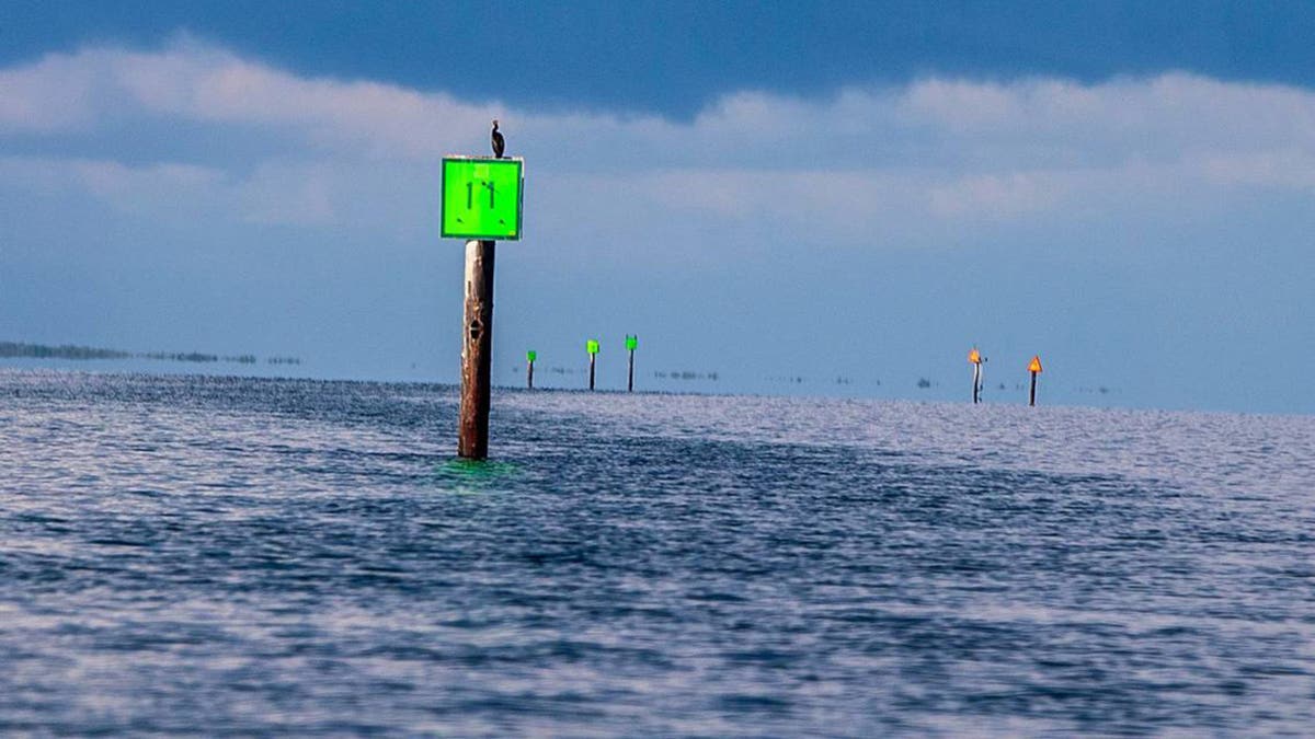 15-year-old Florida girl’s wakeboarding death opens lid on state’s lax lagoon laws 15-year-old Florida girl’s wakeboarding death opens lid on state’s lax lagoon laws
