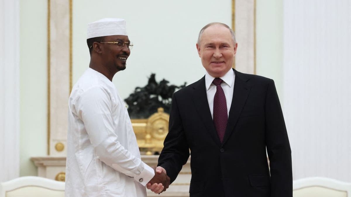 Putin African Diplomacy