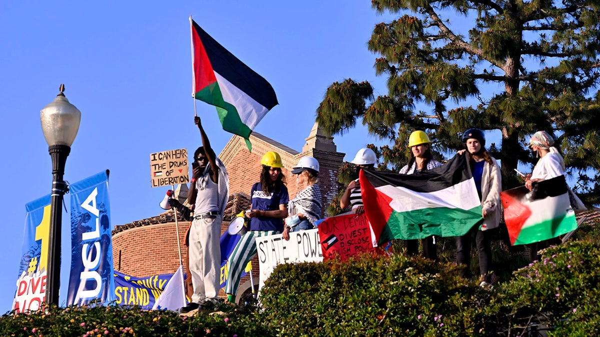 Protesters astatine UCLA activity Palestinian flag