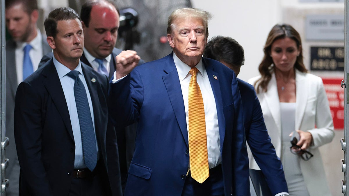 Trump fist pumps successful  beforehand   of Manhattan courthouse