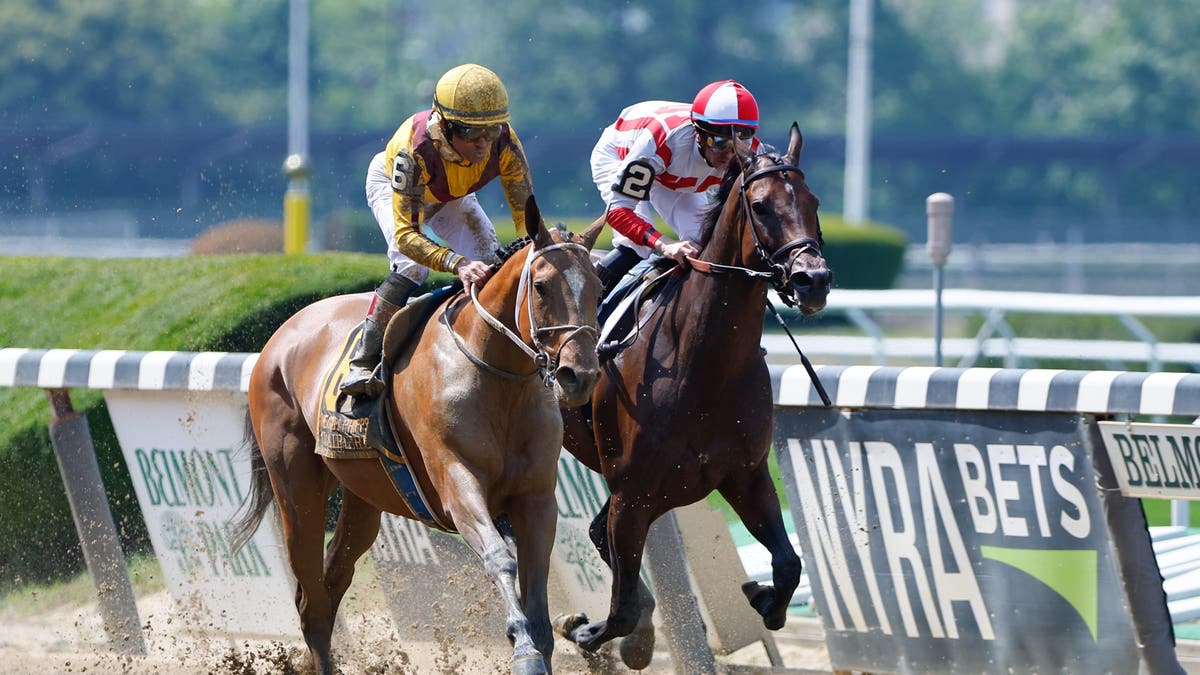 Two horses and jockeys compete at the Belmont Stakes
