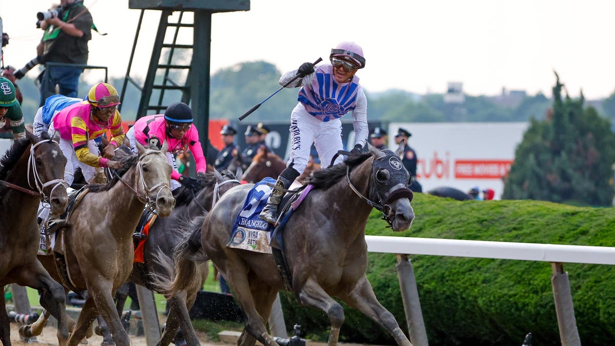 Horses race at Belmont Stakes