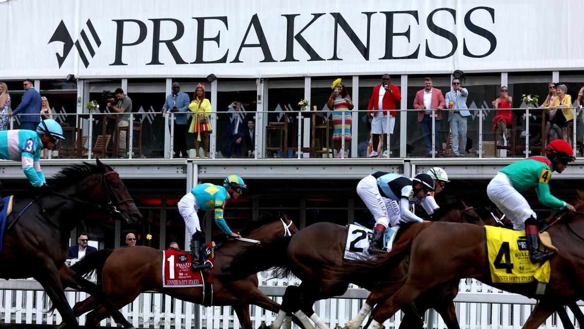 Horses and jockeys compete at Preakness Stakes