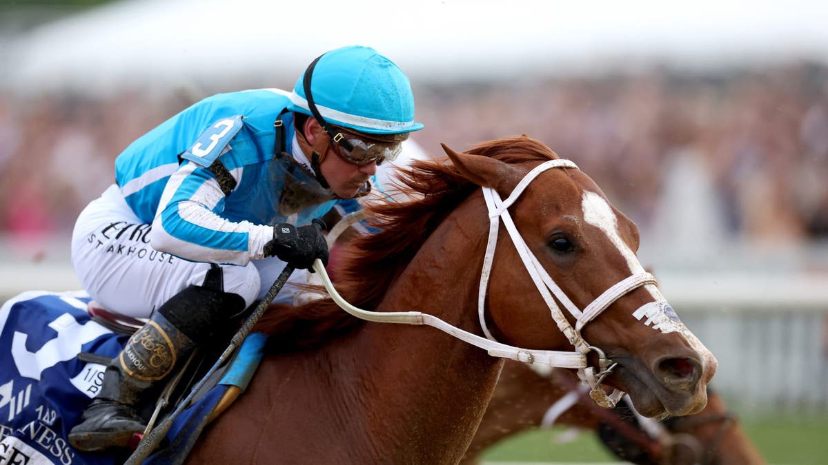 Closeup of horse and jockey in Triple Crown race