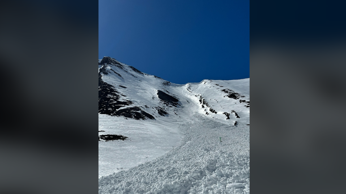 Wide image of avalanche