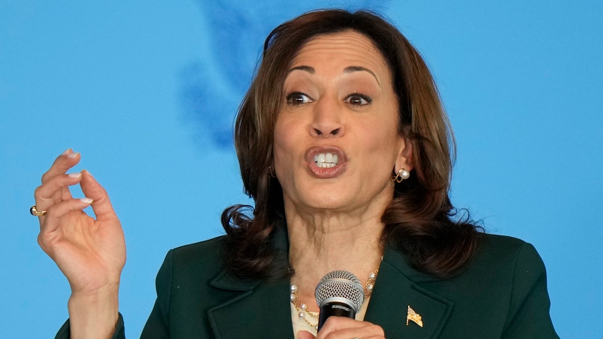 Kamala Harris Praises Biden's 'unmatched' Legacy In First Remarks Since ...