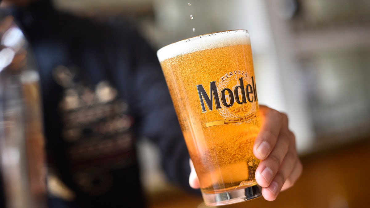 Modelo Especial beer
