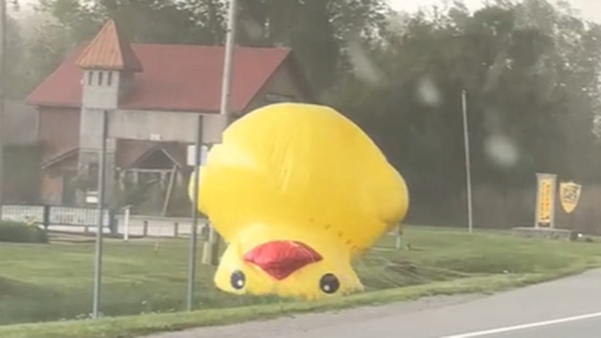 Michigan antiques store inflatable duck blows across road
