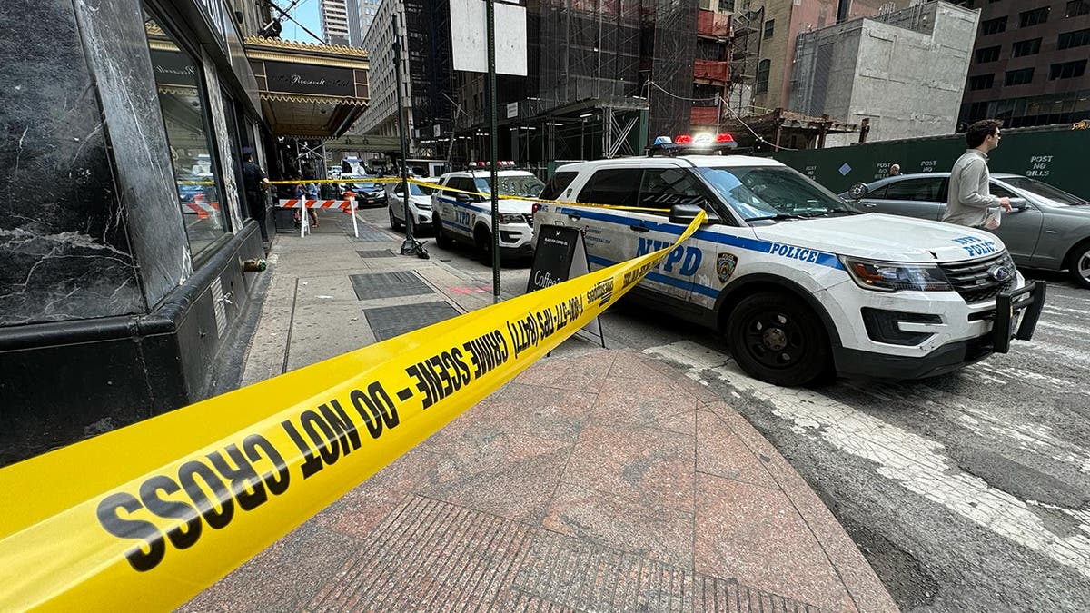 Crime segment portion connected nan thoroughfare successful New York City
