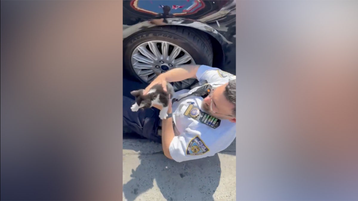 NYPD officer saves kitten from car