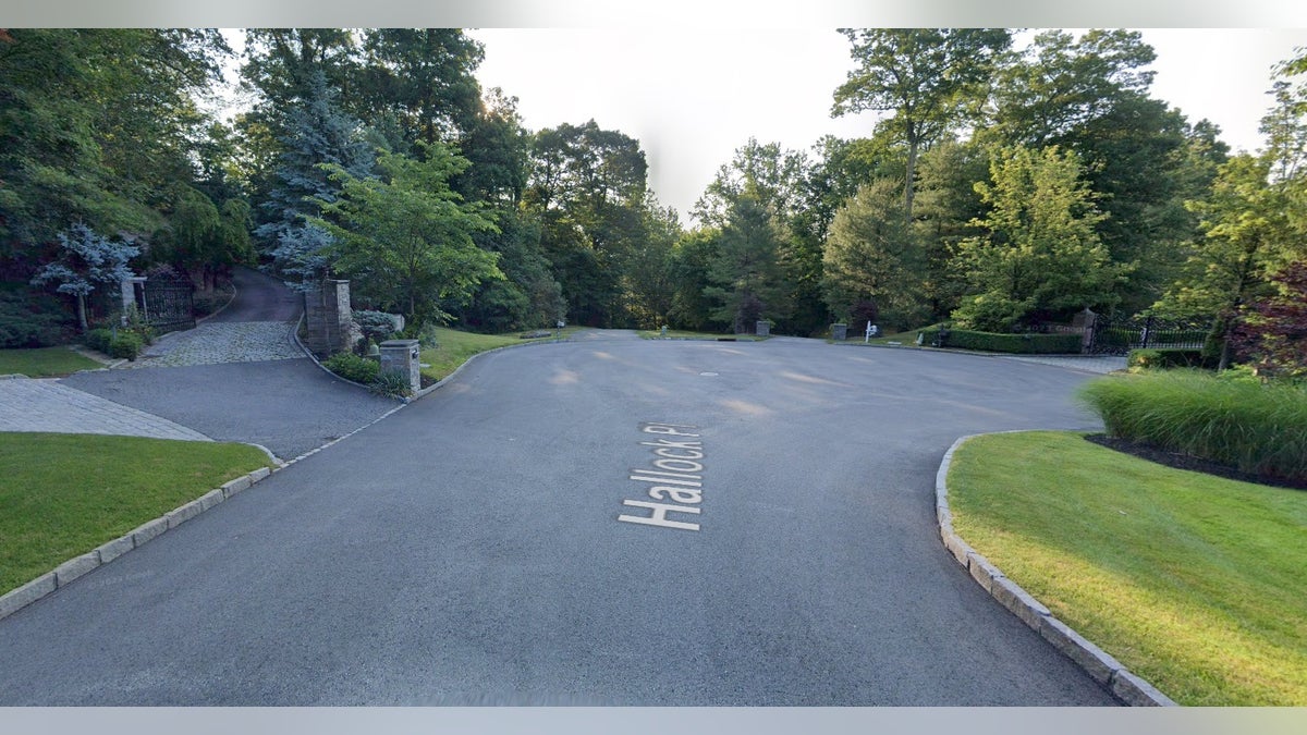 Hallock Place street view