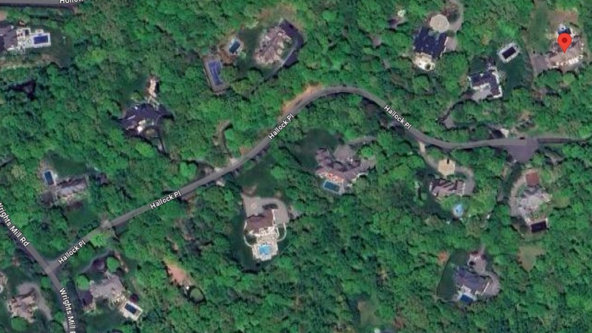 Hallock Place in North Castle, New York, about an hour north of Midtown Manhattan, is lined with multi-million dollar homes separated by spacious properties and trees. The arrow indicates where the police-involved shooting occurred.