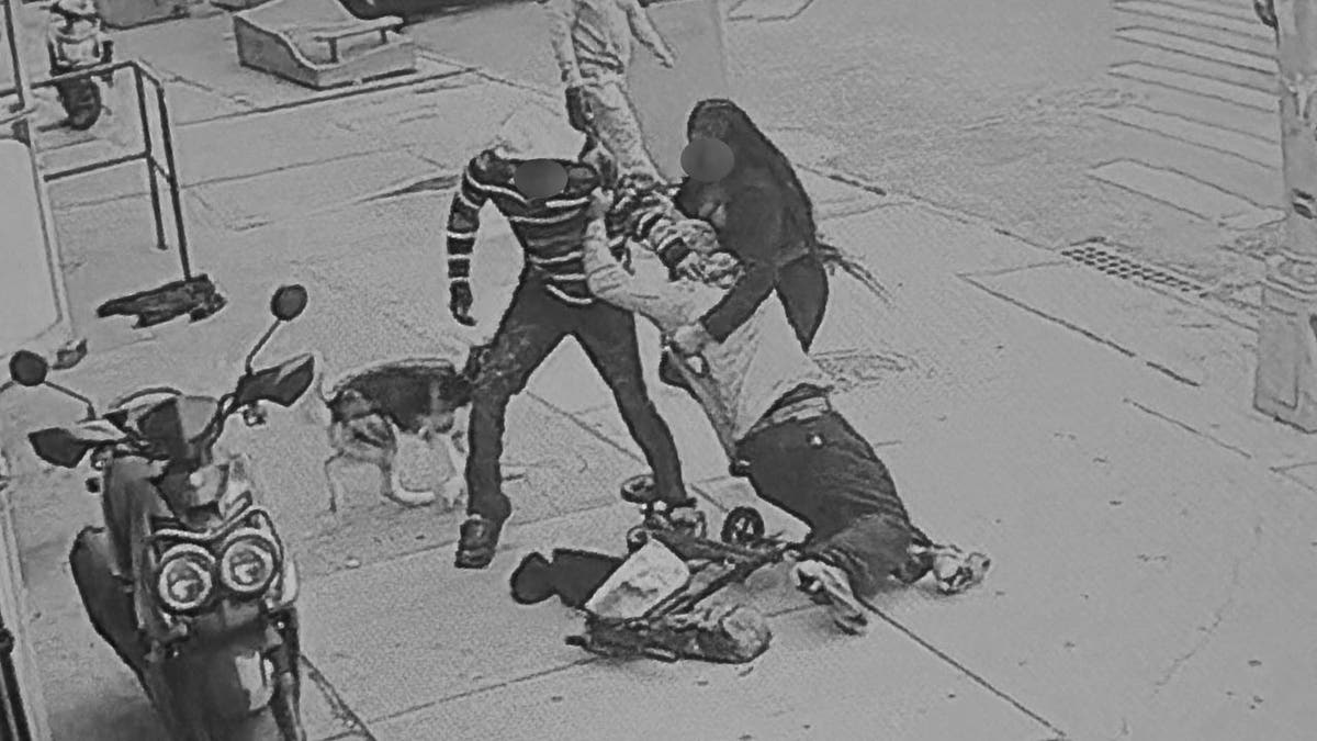 People fighting on the street