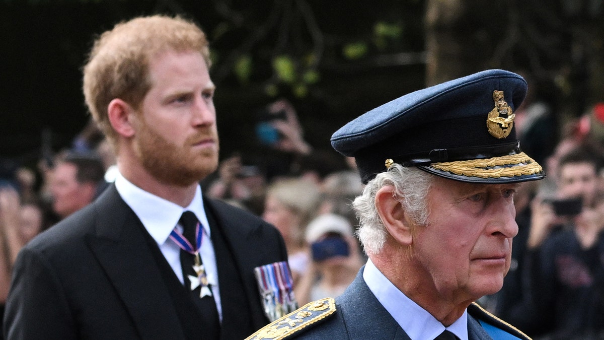 Prince Harry standing behind King Charles