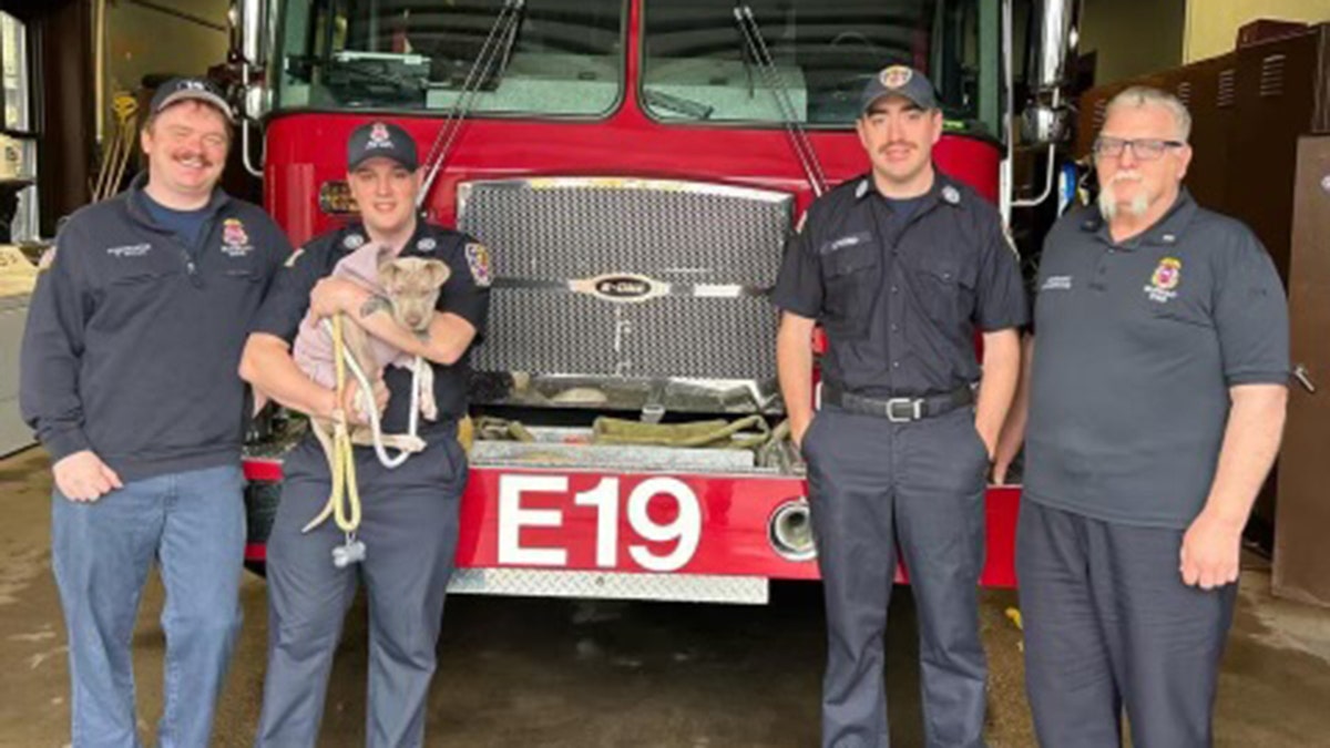 Pulvino-dan-petugas pemadam kebakaran-dengan-anjing yang diselamatkan