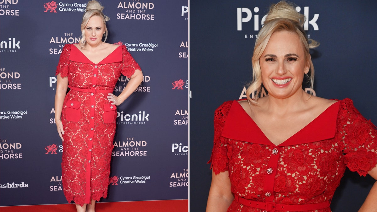 Rebel Wilson on the red carpet in a red dress