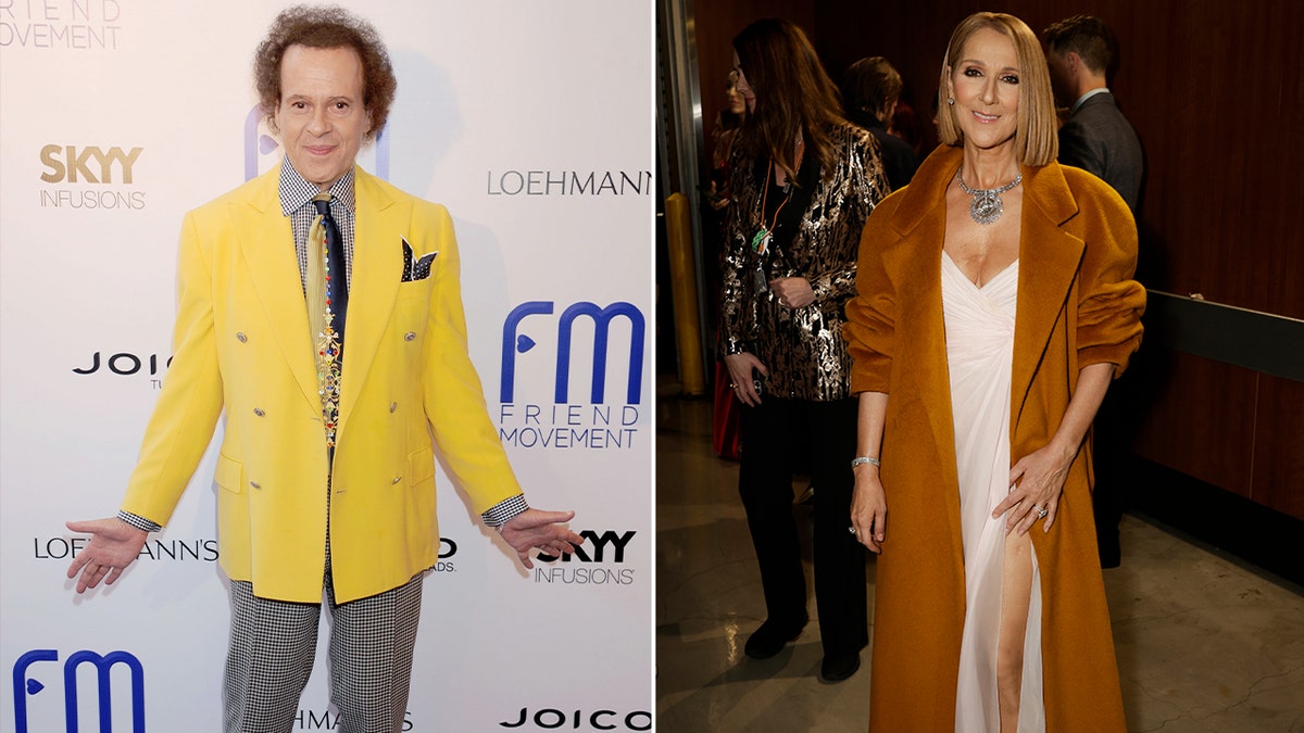 Side by side photos of Richard Simmons and Celine Dion