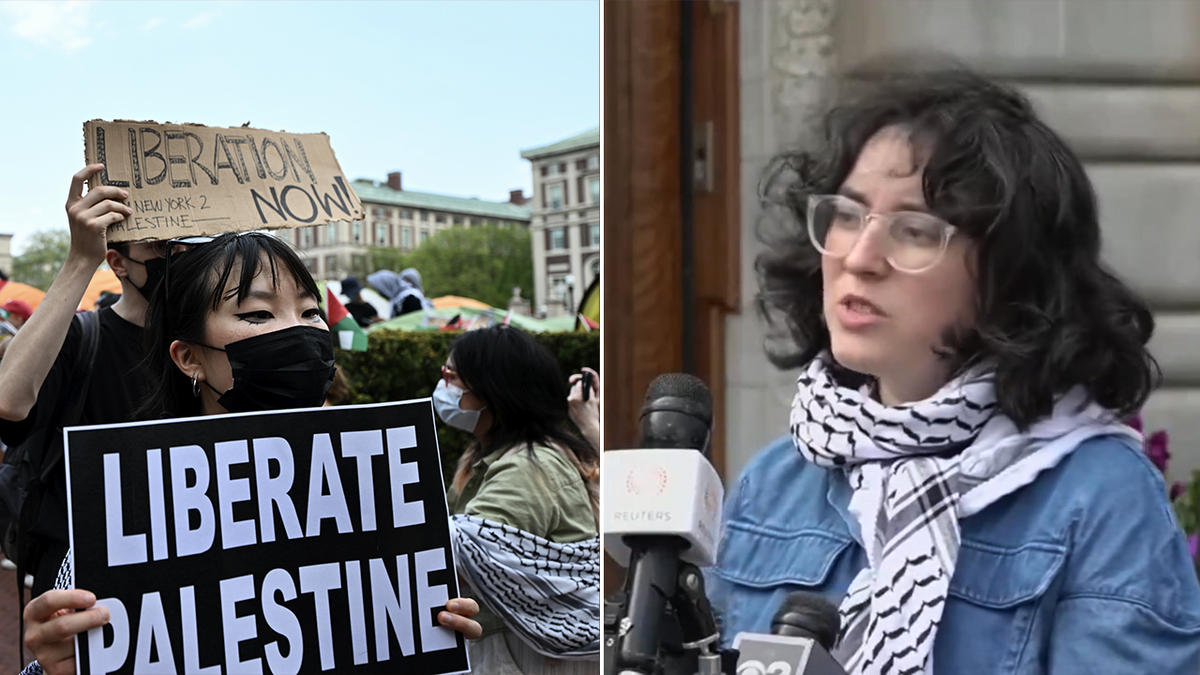 Anti-Israel protesters and Columbia student