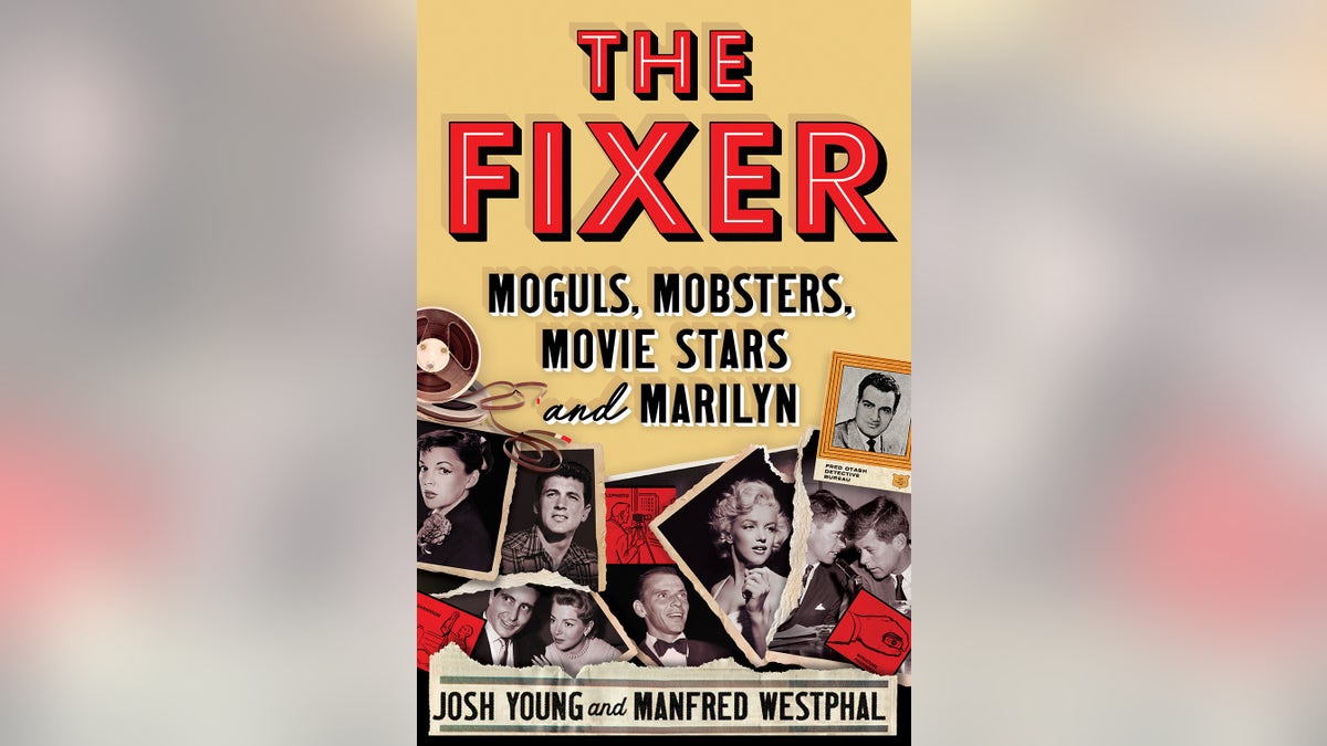 The Fixer book cover