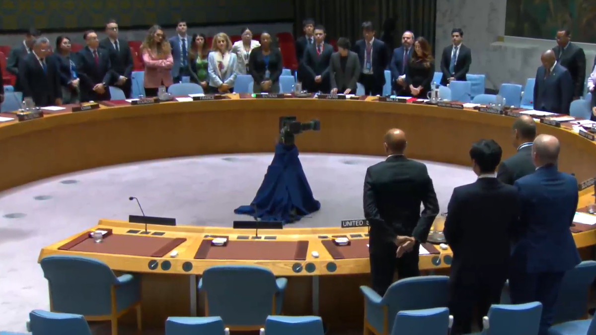 联合国安理会成员起立纪念莱西