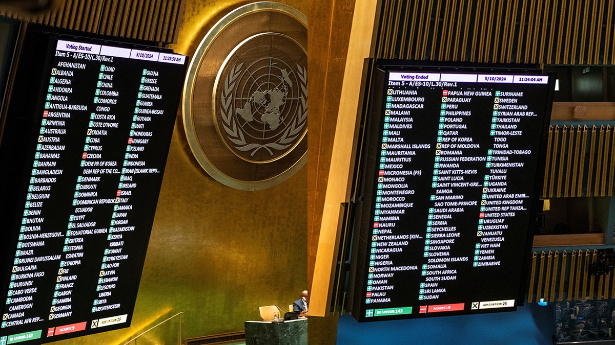 United Nations Membership