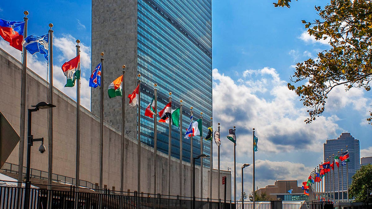 Building of the United Nations in New York