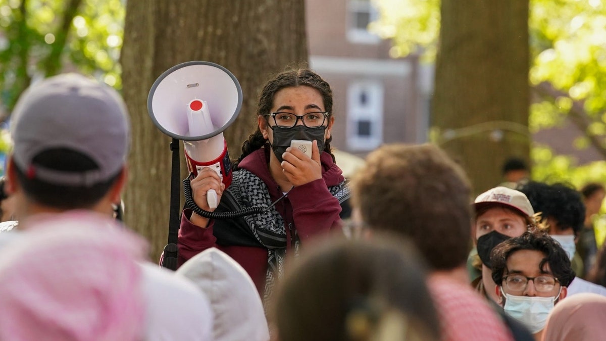 Anti-Israel protests connected nan Rutgers University campus