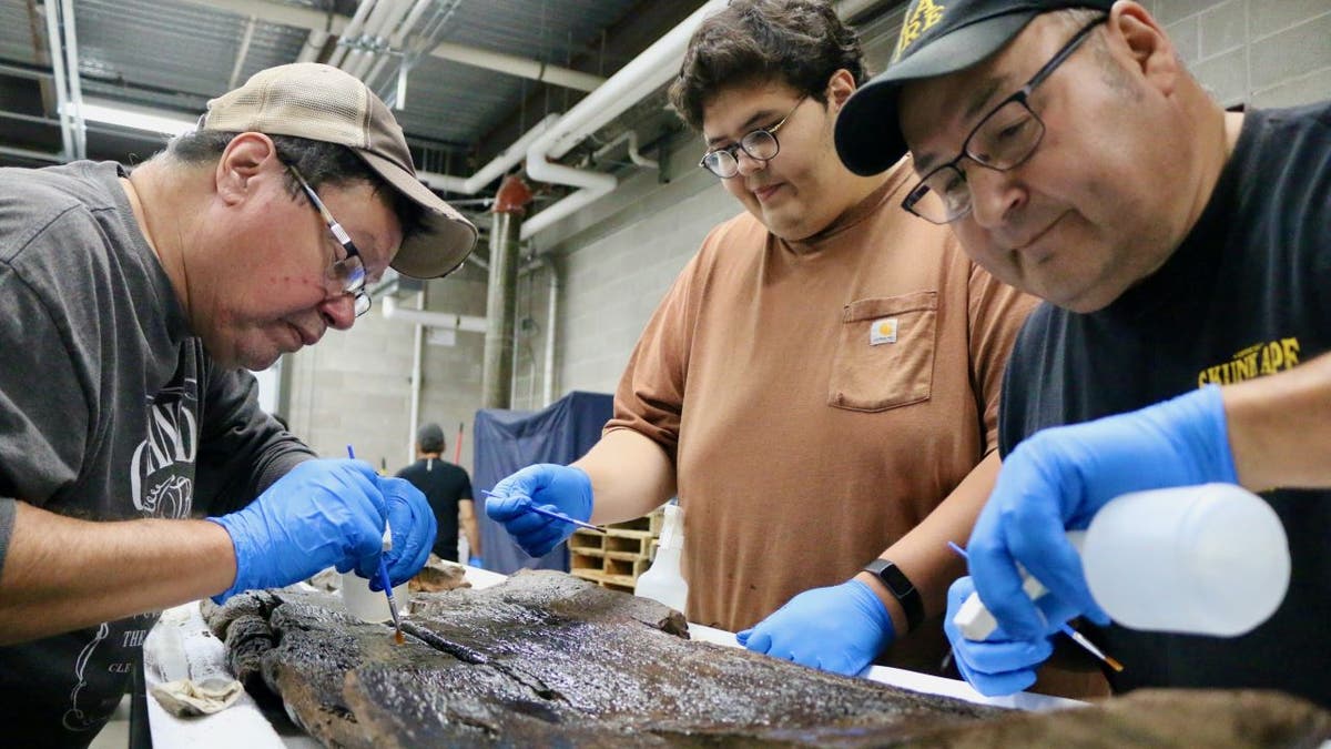 Archaeologists working on recovered ancient canoe