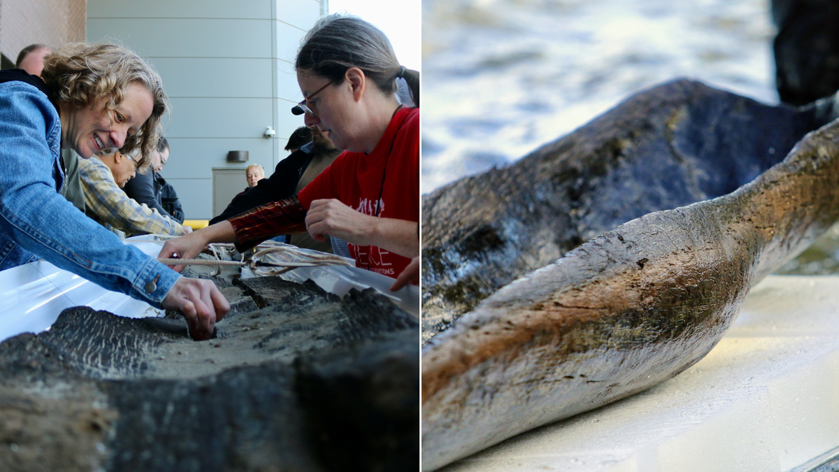Split image of volunteers analyzing boat and close-up of canoe