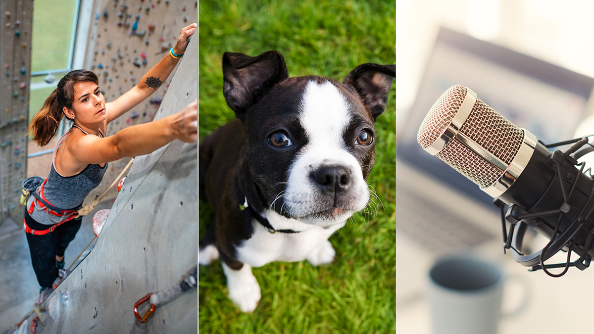 Rock climbing, dog, podcast mic