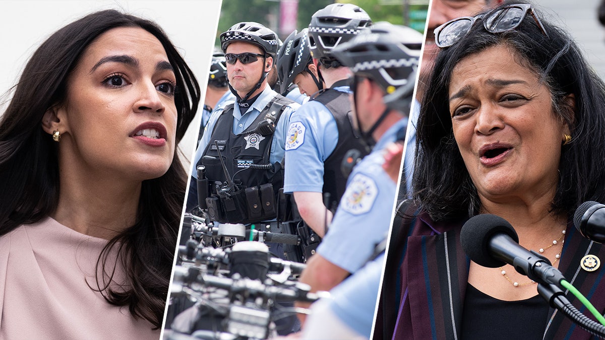 AOC, Pramila Japayal and Police