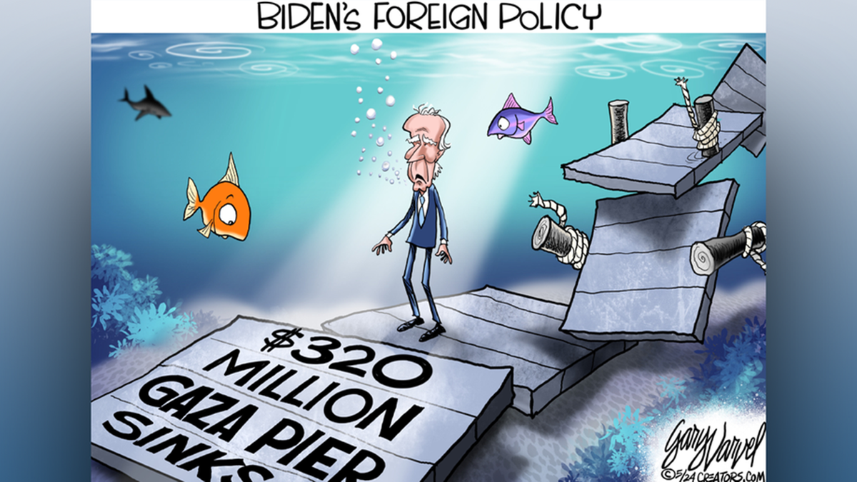 Biden cartoon
