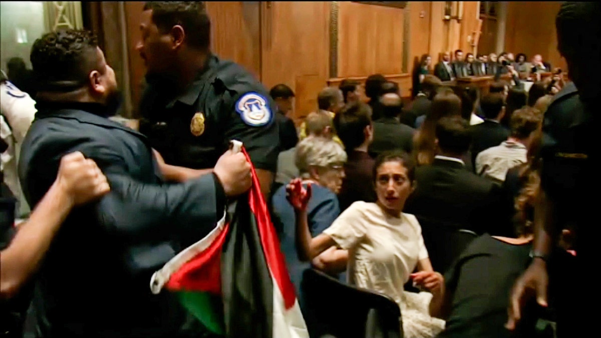 police escort man holding palestine flag out senate hearing