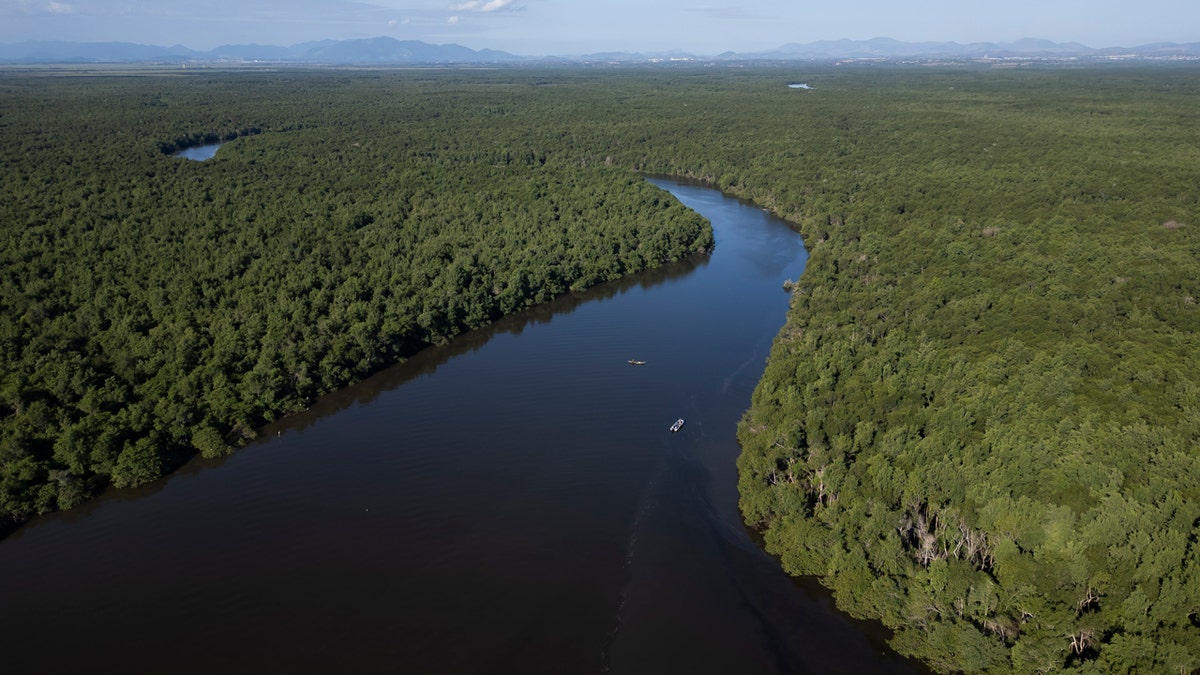 An aerial view of a mangrove recovered from deforestation in the Guapimirim environmental protection area on Guanabara Bay, Rio de Janeiro state, Brazil, Wednesday, May 22, 2024. Four years ago, the Mar Urbano NGO planted 30,000 mangrove trees in the deforested area, that today reach up to 4 meters high.