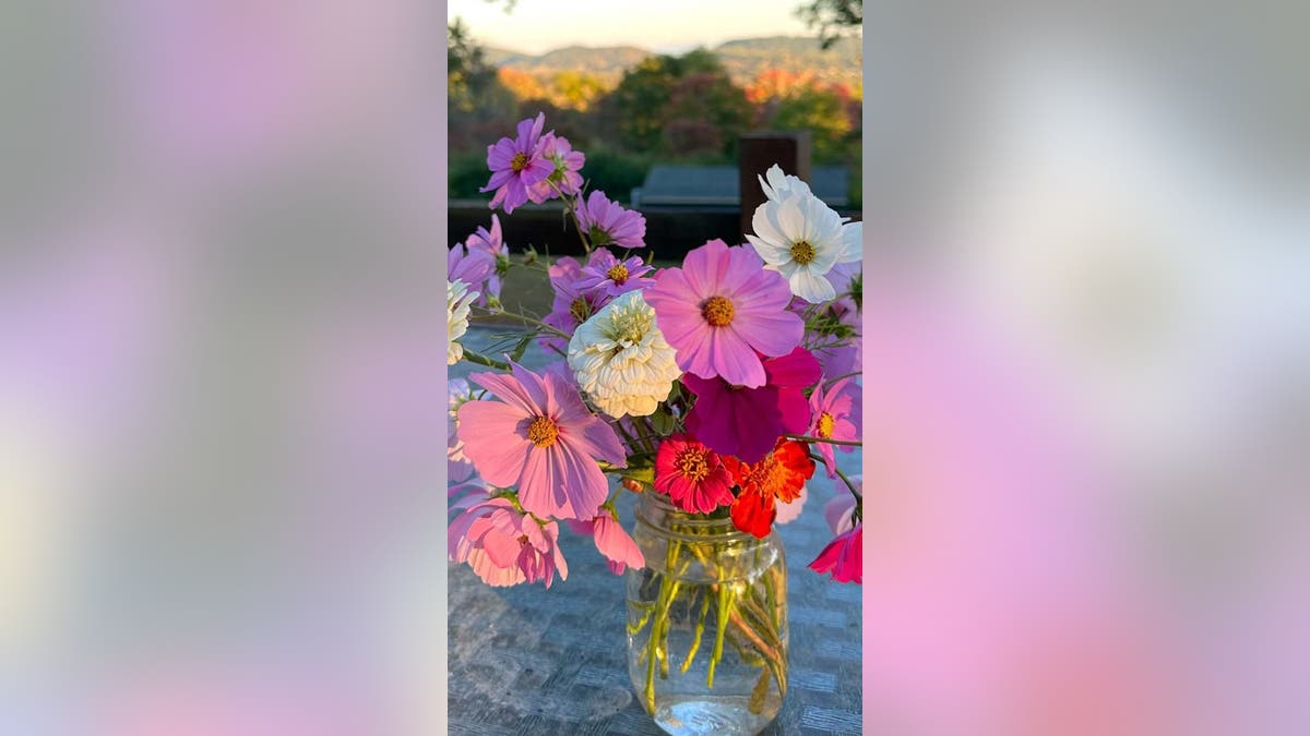 Colorful flowers in a jar