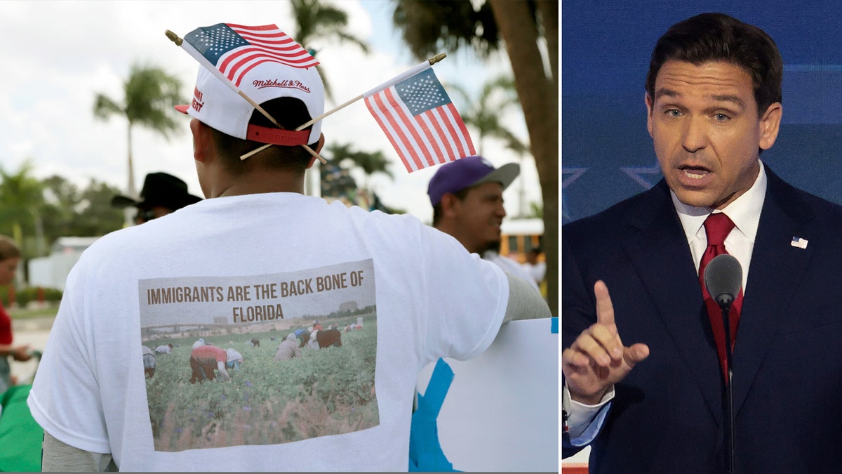 Split image of Florida Gov. Ron DeSantis and immigration supporter