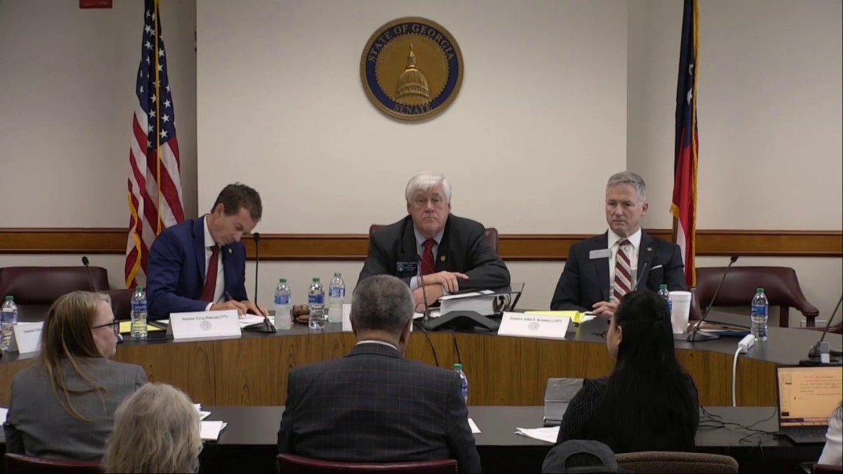 Georgia Senate Special Committee hears grounds   from Fulton County officials.