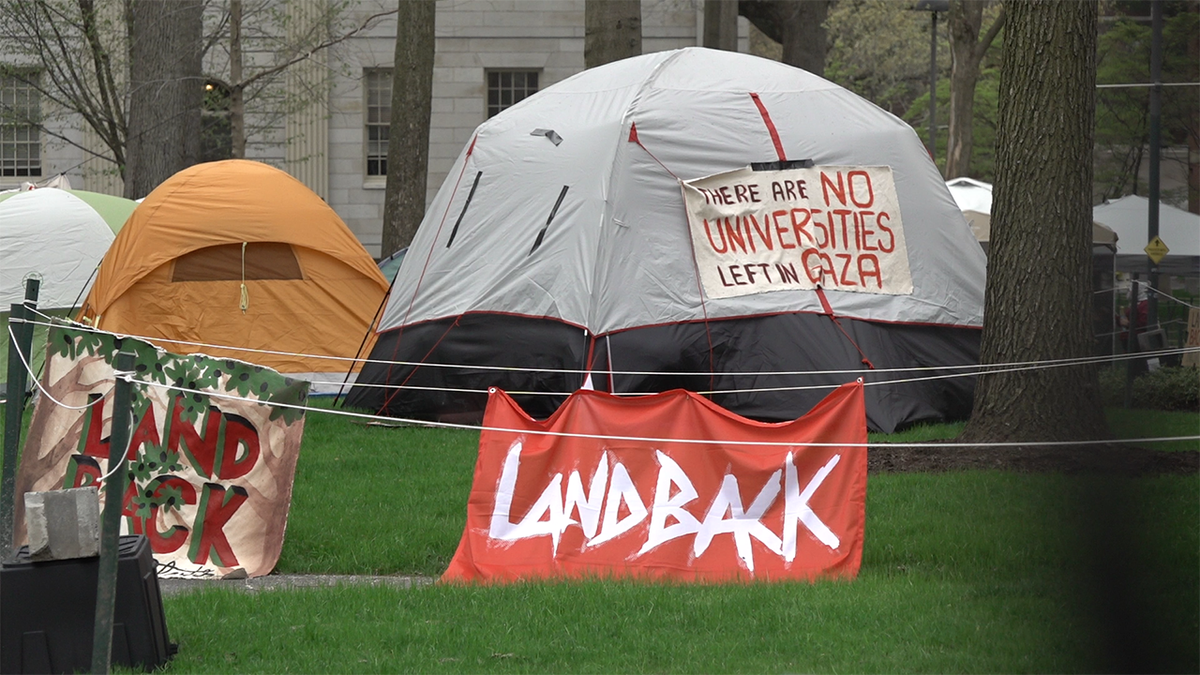 Harvard encampment signs