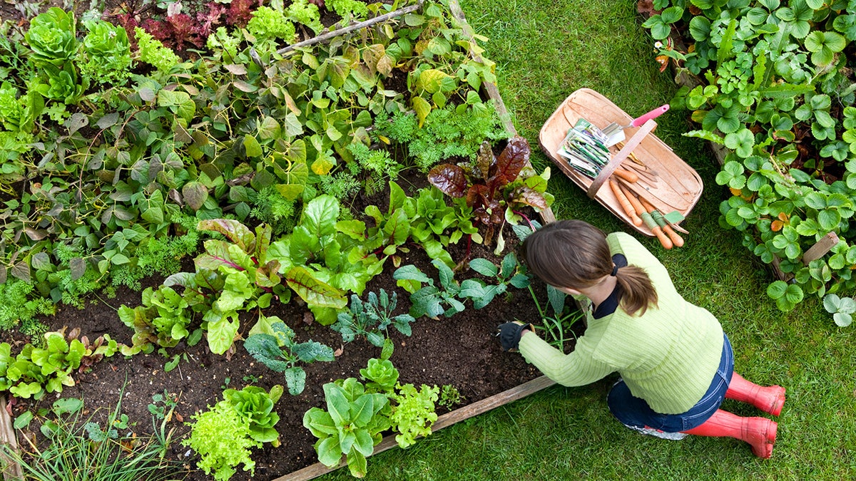Plant anything your heart desires with these tools.