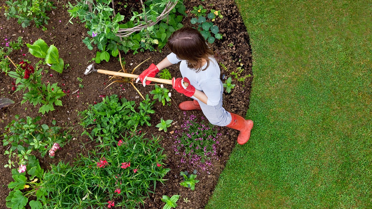 Asegúrate de que tu jardín se mantiene fuerte eliminando las malas hierbas y manteniendo al día la poda. 