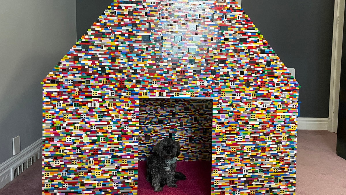 Dog in Lego kennel
